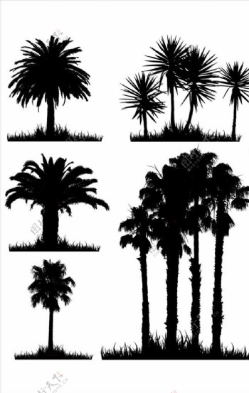 卡通椰树