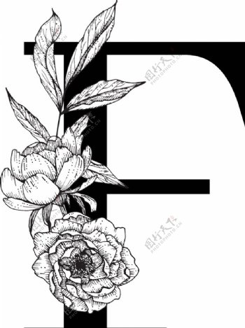 花卉装饰字母字母F
