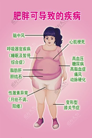 肥胖可导致的疾病