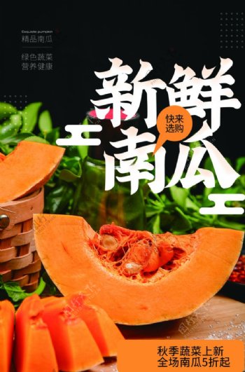 新鲜南瓜食材活动宣传海报素材