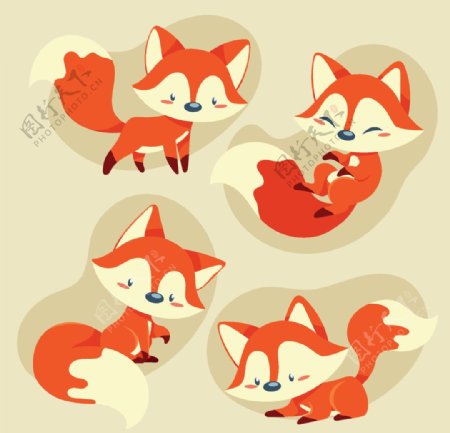 可爱小狐狸图片