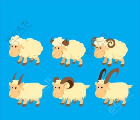 羊和山羊插图图片