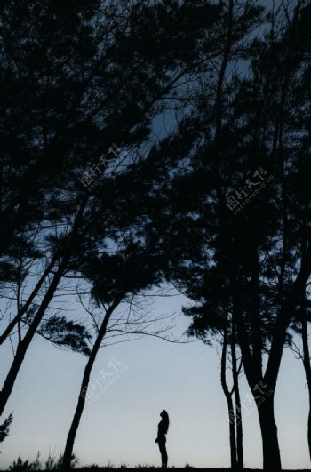 树林森林人物孤单黑夜素材图片