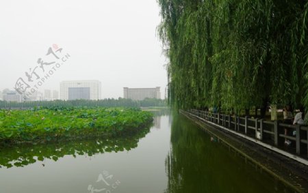 开元湖公园图片