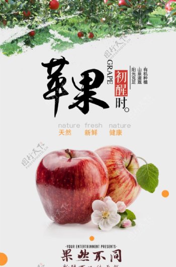 苹果水果活动宣传海报素材图片