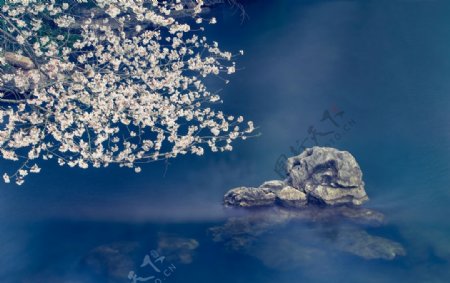樱花山石旅游旅行海报素材图片