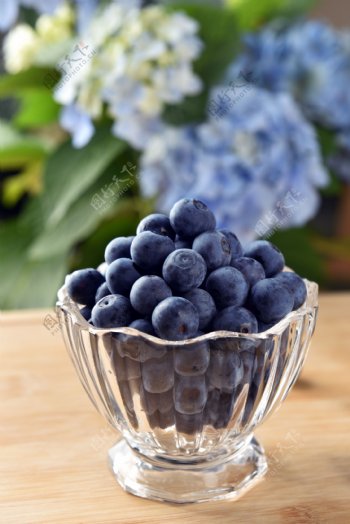 蓝莓水果新鲜背景海报素材图片