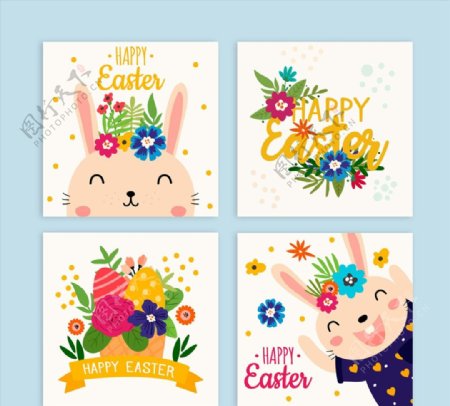 复活节花卉和兔子卡片图片