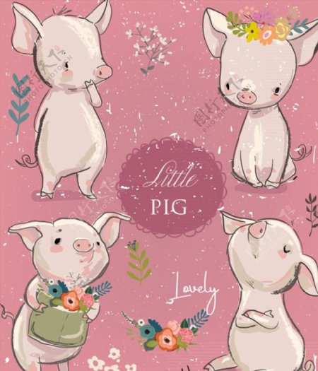 可爱手绘小猪图片