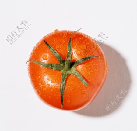 蕃茄图片
