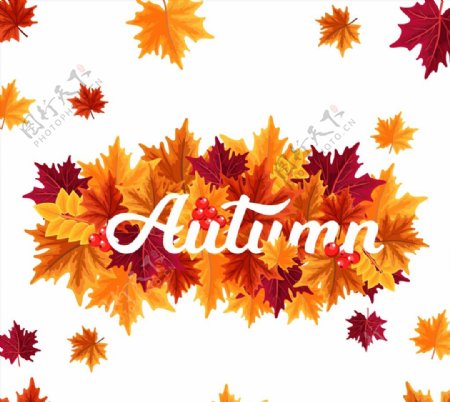 秋季树叶艺术字图片