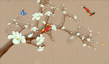 花鸟画玉兰红腹锦鸡背景墙图片