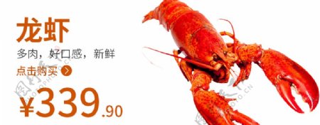 龙虾海鲜龙虾海报食品图片