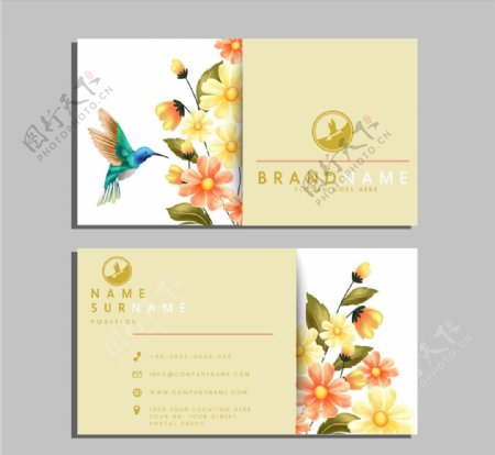 蜂鸟和花卉商务名片图片