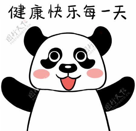 熊猫涛涛图片
