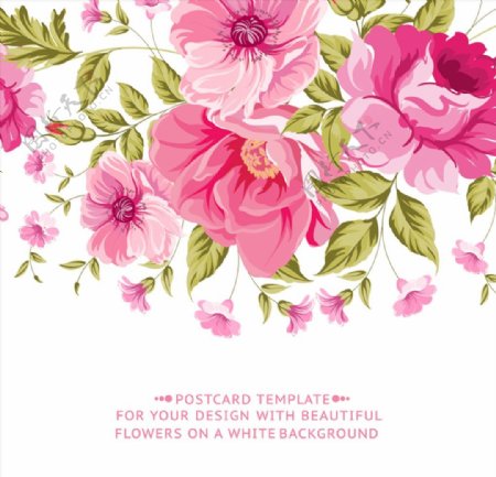 粉色花卉卡片图片