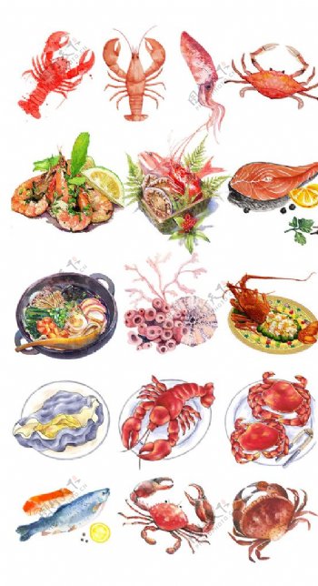 手绘海鲜食物png素材图片