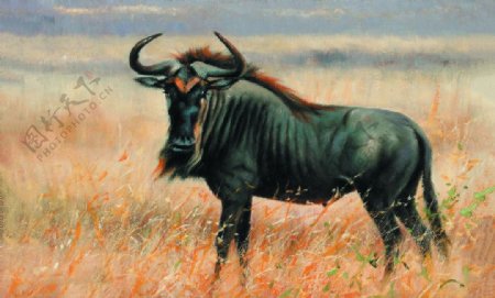 草地上的牛艺术绘画装饰图图片