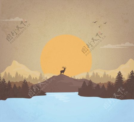 夕阳下的驯鹿图片