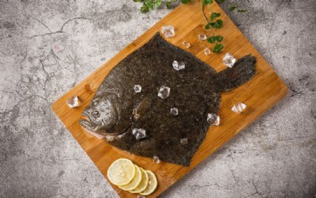 多宝鱼美食食材背景海报素材图片