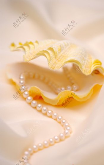 珍珠项链珠宝首饰背景海报素材图片
