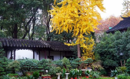 苏州园林秋季图片