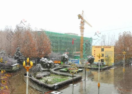 冬日里的校园风景图片