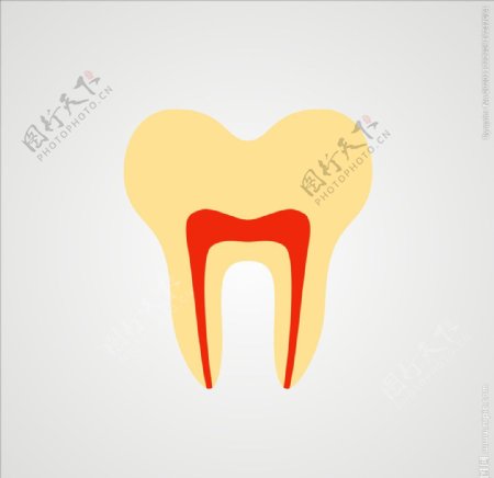 牙齿矢量牙齿图片