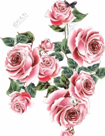 手绘花朵花朵素材玫瑰背景图片