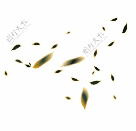 金箔植物落叶元素图片