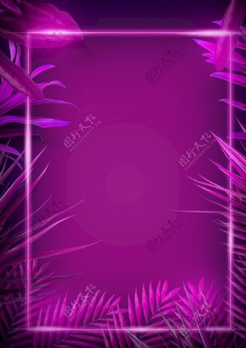 霓虹发光热带植物方框光线背景图片