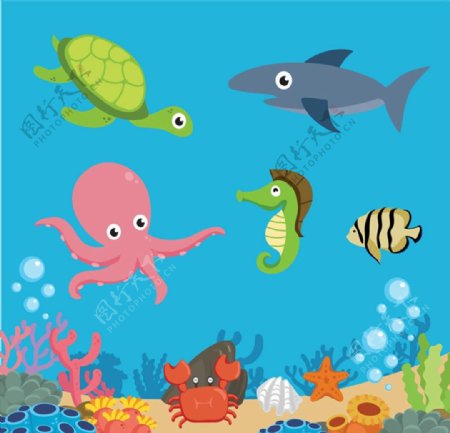 海底世界动植物图片