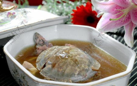 乌龟汤图片