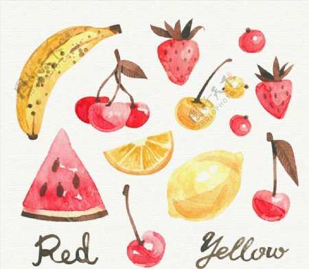 款彩绘水果图片