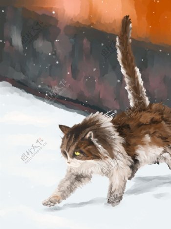 雪天来自故宫的猫图片