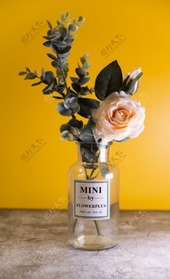 花瓶里的玫瑰特写图片