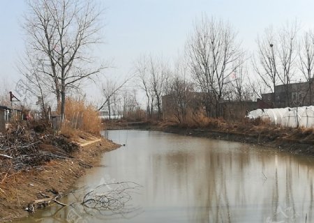 秋天人工运河河岸图片
