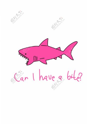 鲨鱼印花图片