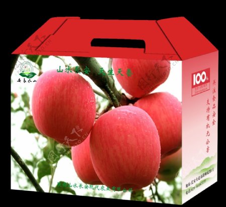 苹果包装礼盒设计