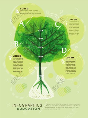 树木教育信息图矢量图片