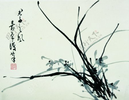 中国近代名画之兰花图片
