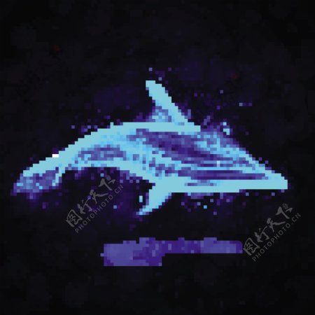 透明的海豚矢量图01