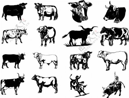 黑白画牛矢量图像序列的两个向量