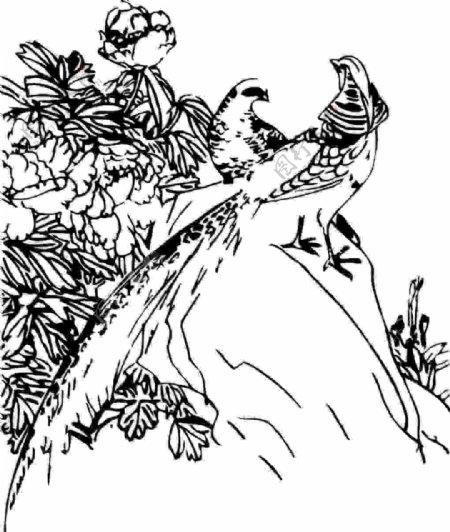 刺绣花鸟古代传统
