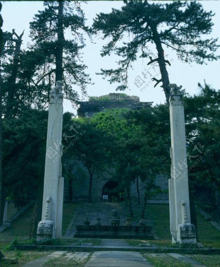 中国园林文化北京天坛参天古木