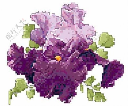 紫色花朵十字绣