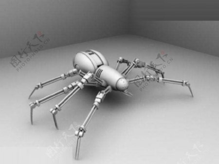 立体蜘蛛模型