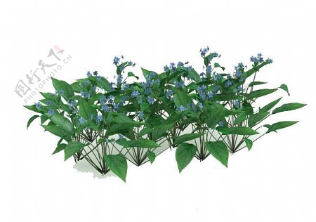 庭院植物3d模型