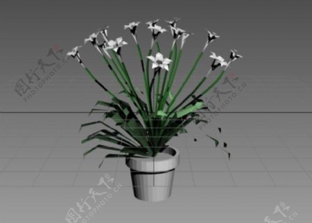 3DMAX室内植物