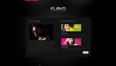 flahs网站设计图片